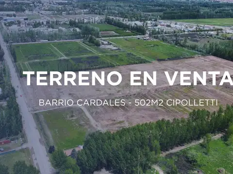 TERRENO EN VENTA EN BARRIO CARDALES CIPOLLETTI