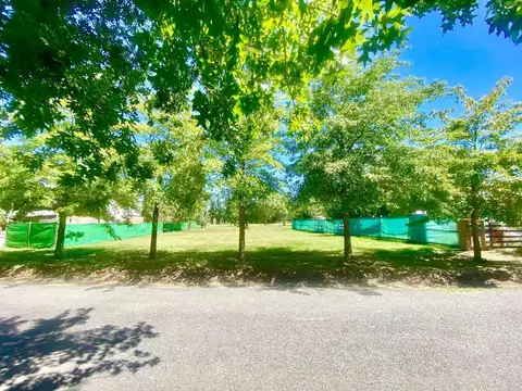 Terreno en Venta en Lisandro Olmos Etcheverry, USD 60.000