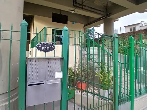 Ameghino  al 500