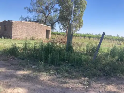 Venta Finca. 5Ha. Las Violetas, Lavalle.