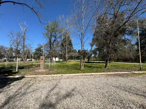 Lisandro De La Torre 4600