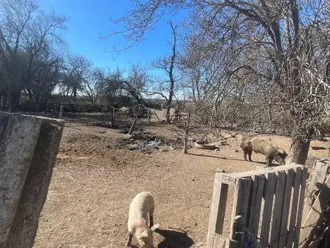 El Chañaral