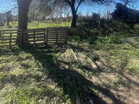 El Chañaral