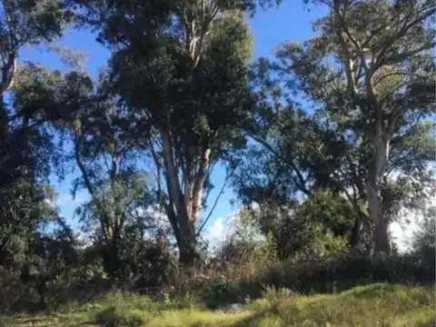 Terreno en Venta de 620,0 m2