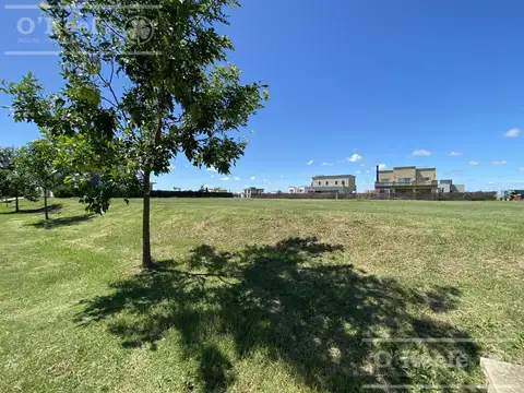 Int. Villalobos Lote 261