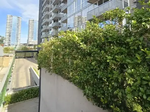 Departamento en Alquiler 9 años