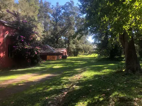Campo en Venta – 50 Ha en Monasterio, Sobre Ruta 2. con Casco.