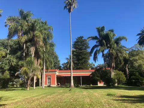 Campo en Venta de 50  ha