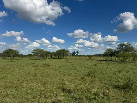 Campo 36.5 hectareas en  Curuzu Cuatia Corrientes
