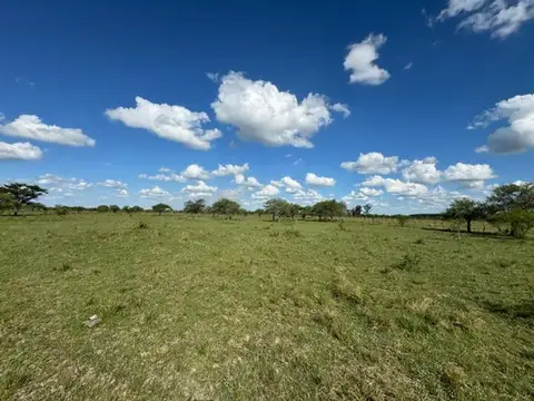 Ruta 126