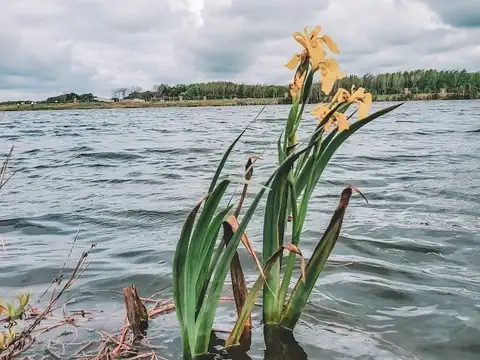 Terreno Lote  en Venta en Santa Ana, Villanueva, Tigre