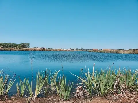 Lote en Venta en Santa Ana, Villanueva 100