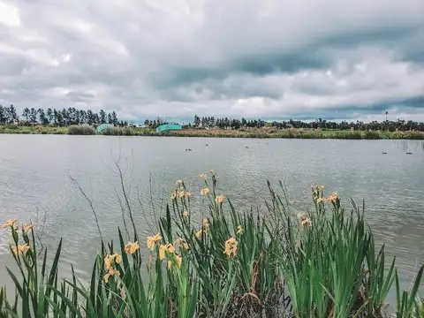 Terreno en Venta en Villanueva, USD 115.000