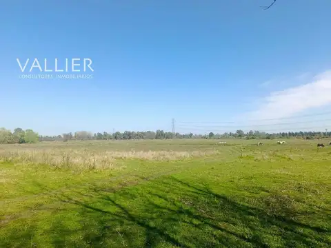 Terreno Campo  en Alquiler en Pilar, G.B.A. Zona Norte, Argentina