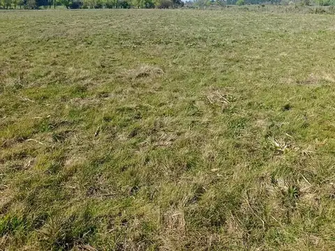 Terreno Campo  en Alquiler en Pilar, G.B.A. Zona Norte, Argentina