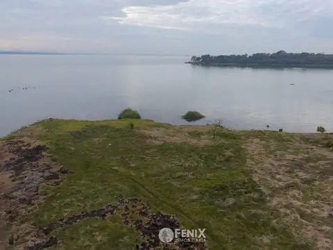 TF791 - 3.2 HECTÁREAS EN VENTA - NEMESIO PARMA