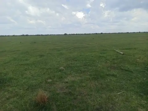 Exelente campo  con aptitud mixta.
