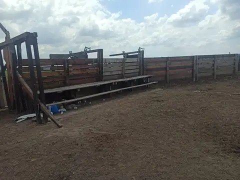 Exelente campo  con aptitud mixta.
