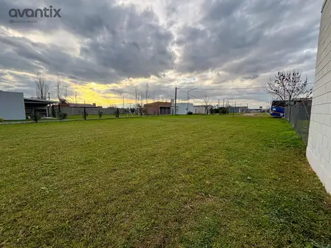 Rivadavia s/n (Susana)