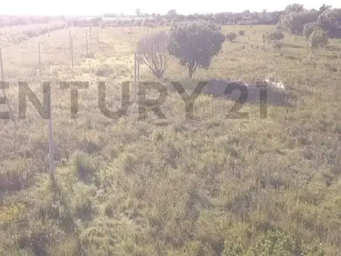 Terreno en Venta de 34000,0 m2