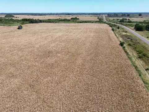 ruta 136