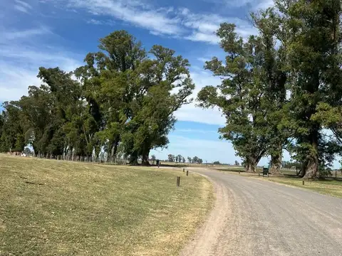 Terreno en Venta en Los Tres Pinos, USD 50.000