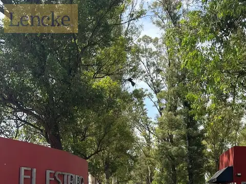 Ruta 6 Km 142