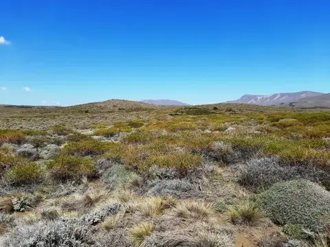 Lote de 2780 m2 con hermosas vistas en Lago Huechulafquen