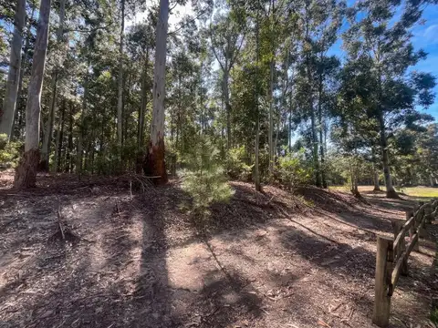 Terreno de una Hectárea a Metros del Río - Carmelo