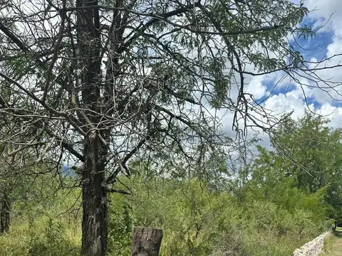 Venta hermoso terreno en Las Calles, Nono.