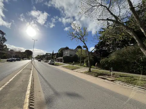 Avenida Espora