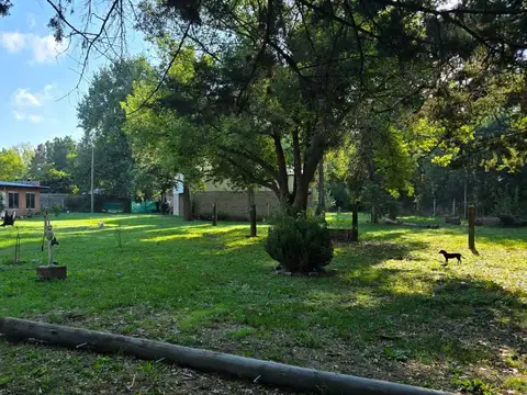 Juan Murazan al 600