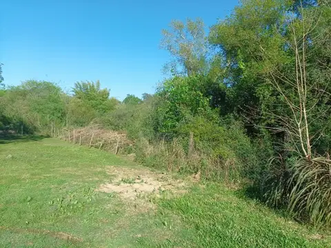 Terreno en Venta 50  mts Fondo