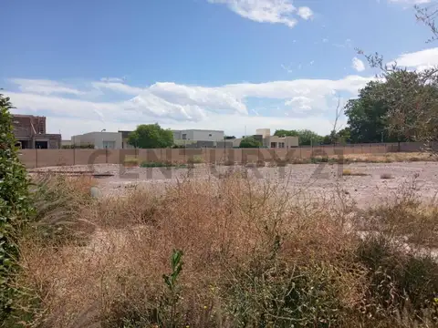espejo , Piso 0
