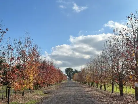 Terreno en Venta 100  mts Fondo