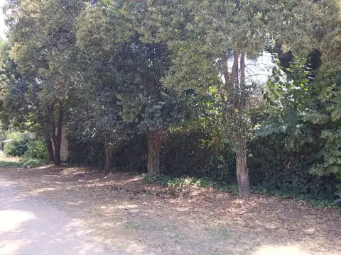 Terreno en Venta en Pontevedra, USD 42.000
