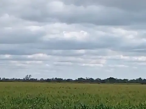 Venta de Campo - 1.200 Hectáreas
