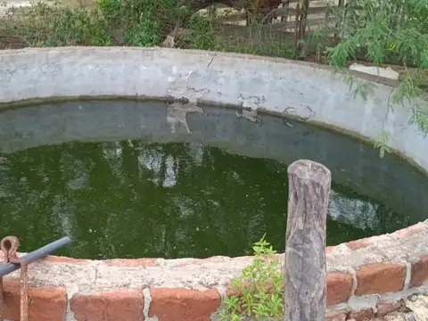 Venta de Campo - 1.200 Hectáreas