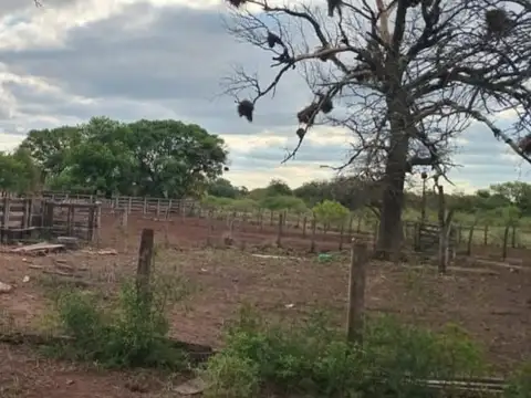 Venta de Campo - 1.200 Hectáreas