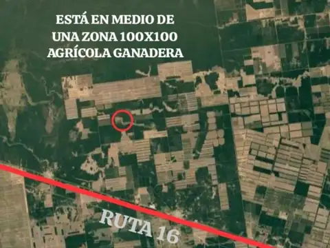 Venta de Campo - 1.200 Hectáreas