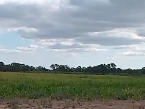 Venta de Campo - 1.200 Hectáreas