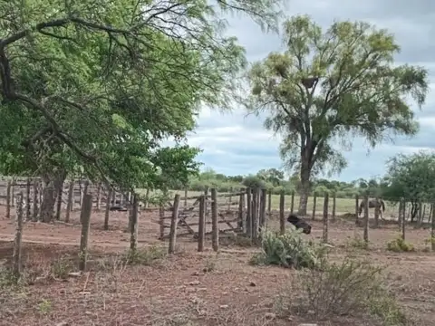 Venta de Campo - 1.200 Hectáreas