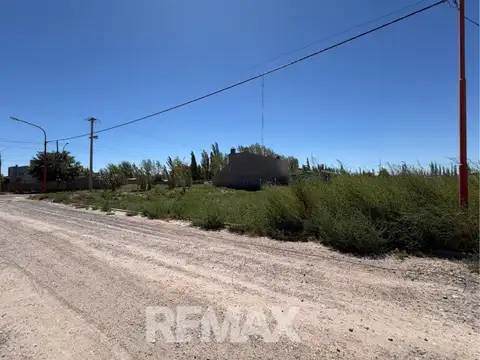 Los Andes 1000