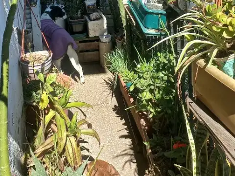 Depto Tipo Casa en Venta al Oeste