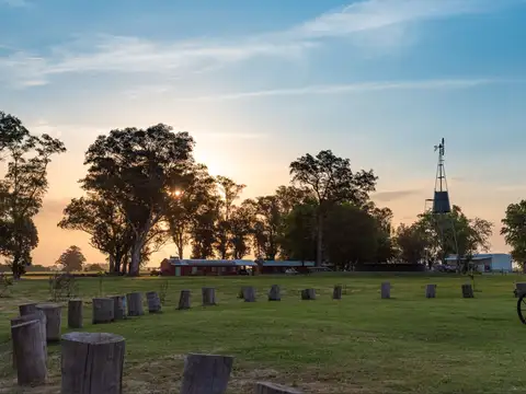 Terreno en Venta de 1000,0 m2