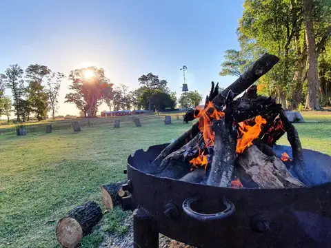 Terreno en Venta de 1000,0 m2