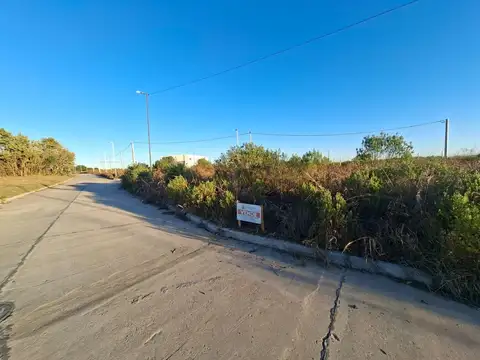 avenida federacion