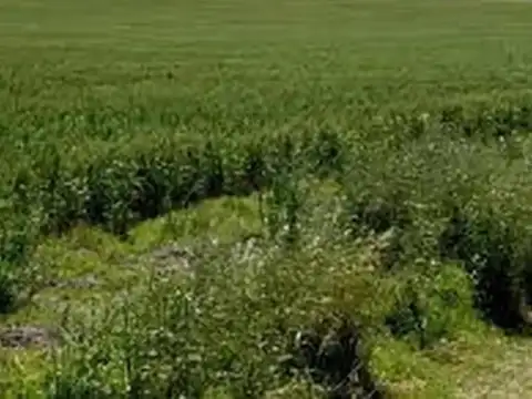 Ruta Nacional Belén
