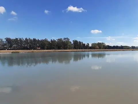 Terreno en Venta 35  mts Fondo