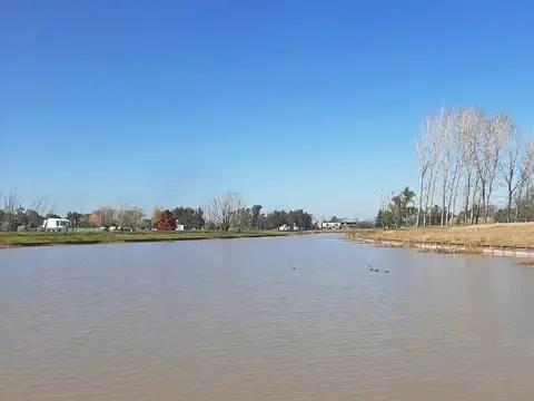 Terreno en Venta de 804,0 m2